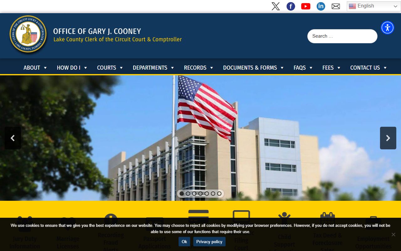 Lake County Clerk website for criminal history records